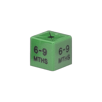 Cube 6/9 Months Green