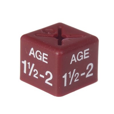 Size Cube Age 1/2 - Maroon