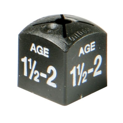 Children size cubes, 1.5-2 yrs