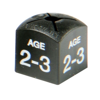 Children size cubes, 2-3 yrs